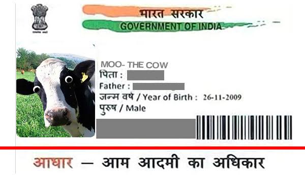 This Is How Aadhaar Card For Cows Will Look Like