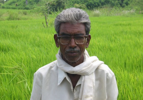 ‘Rice Man’ of India, Dadaji Khobragade Died: The Scientist Among the Farmers